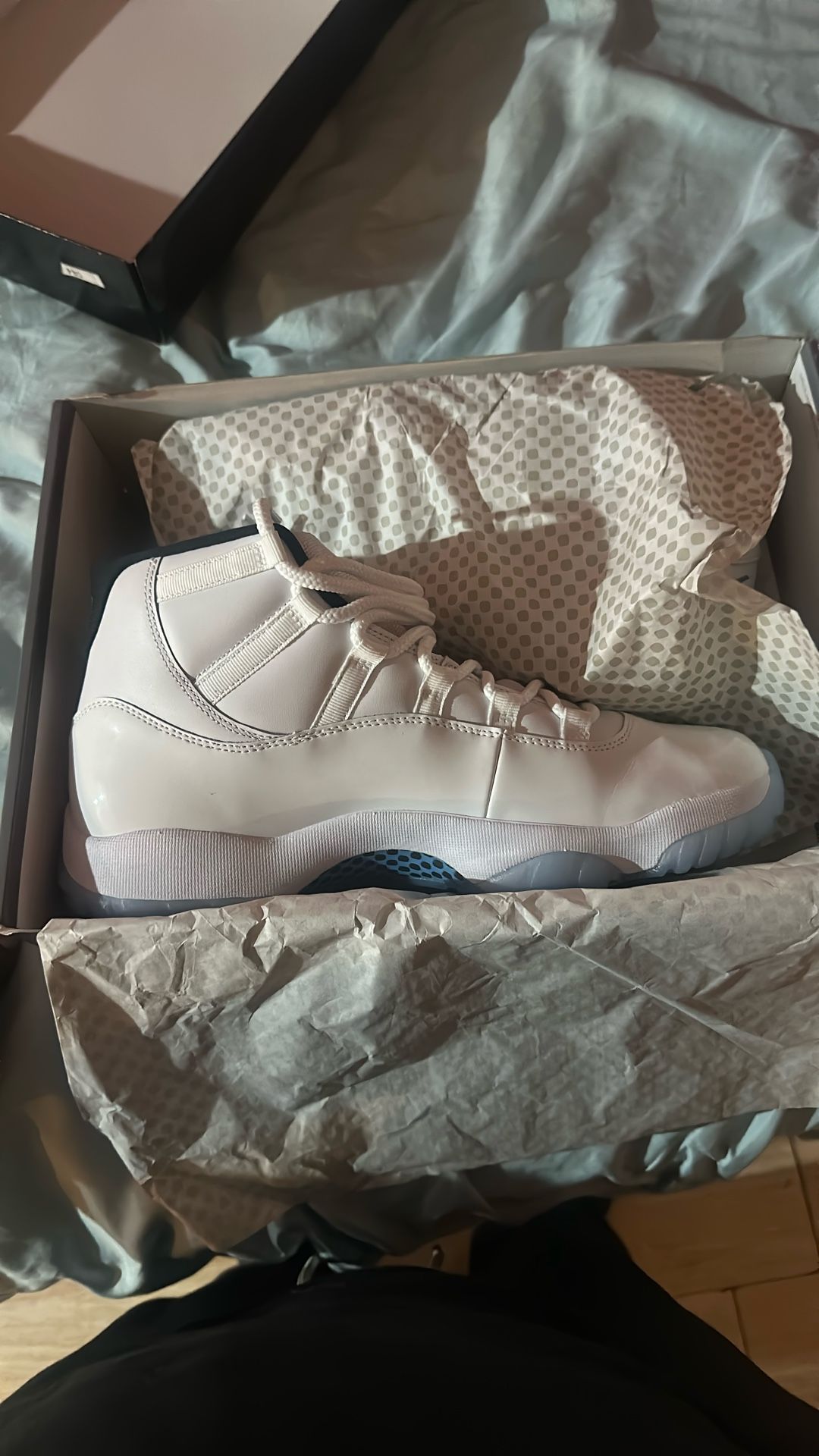 Air Jordan 11