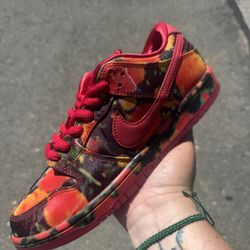 Nike SB Dunk Low Pro