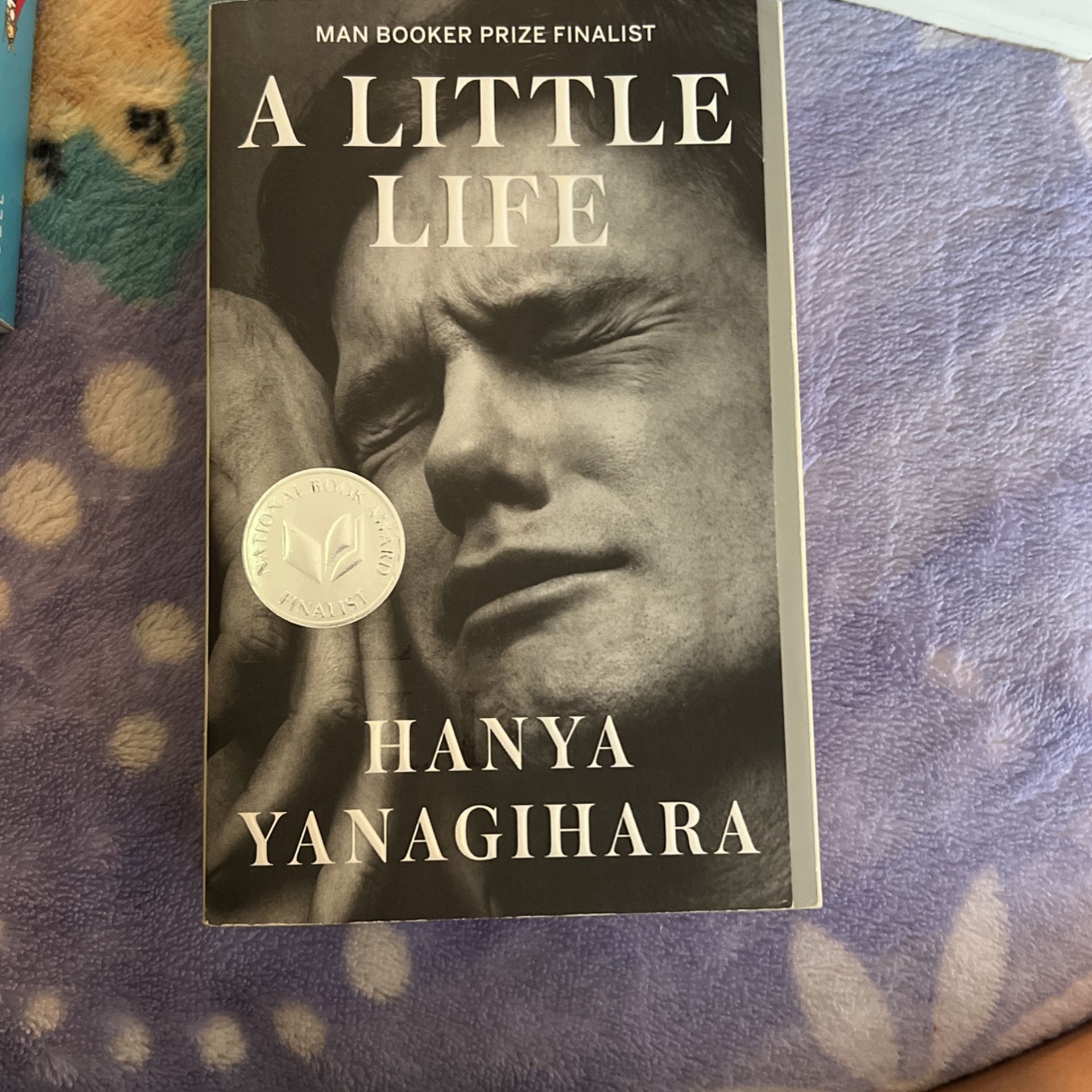 “A Little Life” Hanya Yanagihara