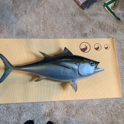 35in Blackfin Tuna