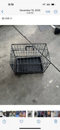 Casa Para Perrito