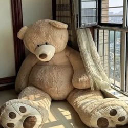 Huge Teddy Bear $150