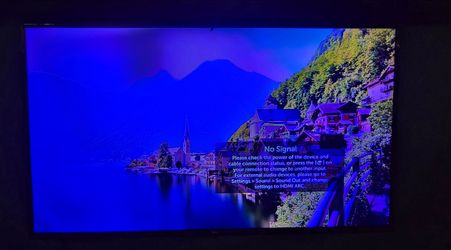 55 in LG TV