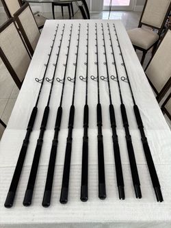 New palmetto, spinning rods 7'0" 17-40lb K gaides