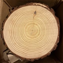Wood Slices