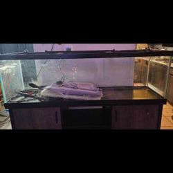 125 Gallon Aquarium 