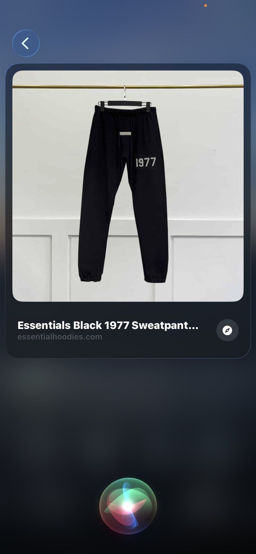 1977 Essential Pants Fear Of God