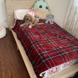 Bed Frame With Storage 