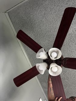 Ceiling Fan