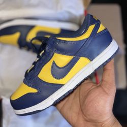 Nike Dunk Low Michigan (Ps)