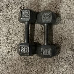 Hex Dumbell Set 20 lbs