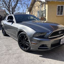 2013 ford mustang
