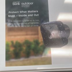 Blink Camera system