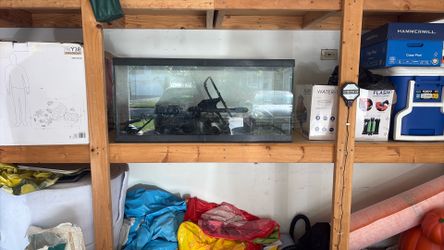 50 gallon tank