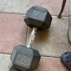 50 lbs Dumbbells
