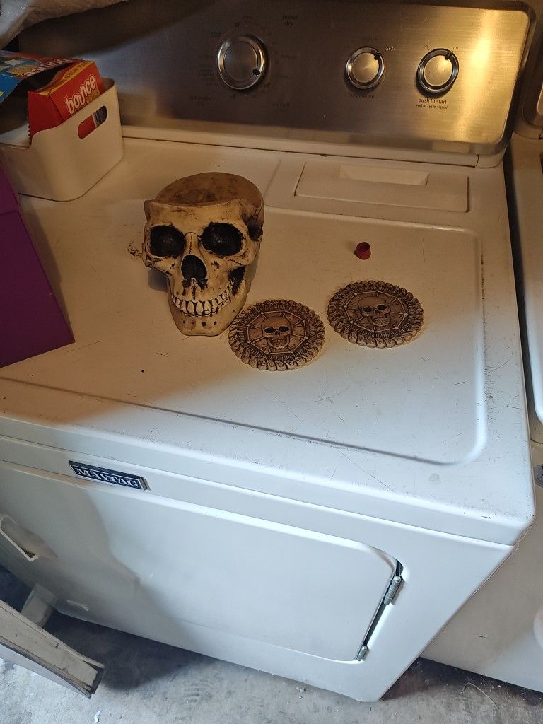 Skull Coaster Set
