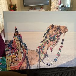 Camel Wall Art 