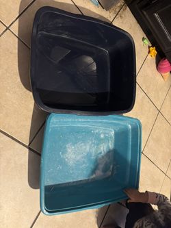 Large Litter Box