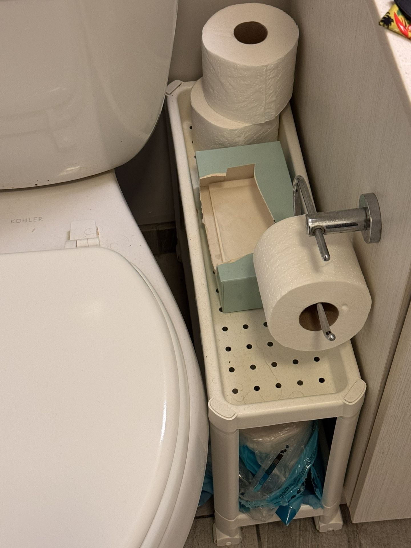 2 Teir Bathroom / Shower Roll up Next To Toilet Storage Thingy Toilet Paper Not Included