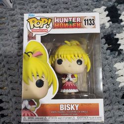 Hunter Hunter Bisky #1133 Damaged