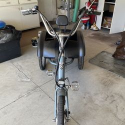 2020 Model Pedego Electric Trike Bike Etrike ONLY 29 Miles Barely Used It 20" Frame