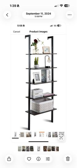 Ladder Book Shelf