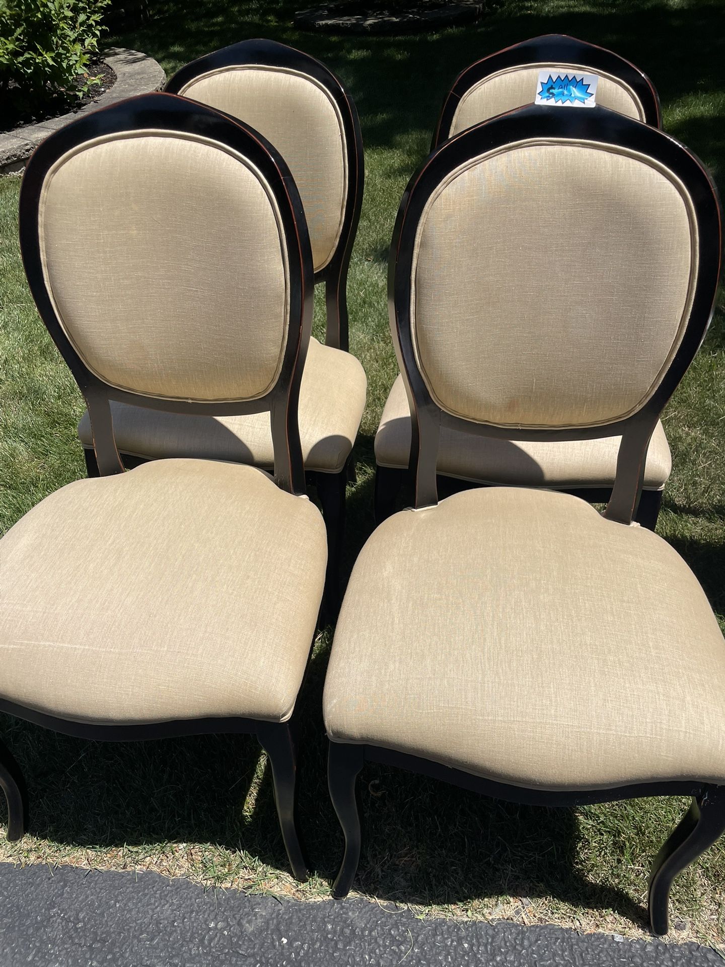Dining Room Chairs