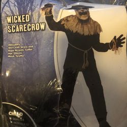 Boys Halloween Costume Wicked Scarecrow Size 10-12