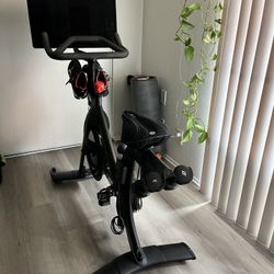 Peloton