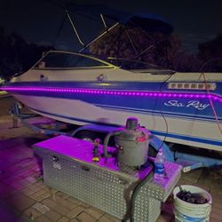 SEA RAY BOAT