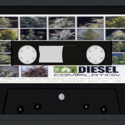 THE DIESEL COMPILATION cassette  SEALED NEW  Tracklist  Kool G Rap Hood Legend  Large Professor I Came 4:233  Kurupt / Roscoe Fly High 3:344  Kool Ke
