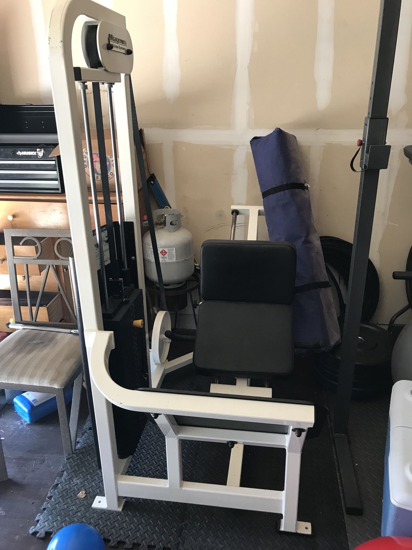 Magnum Fitness Systems -Angled Leg Press/Calf
