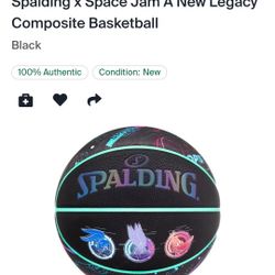 SPACE JAM BASKETBALL SPALDING 