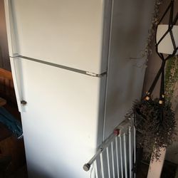 Newer Refrigerator 