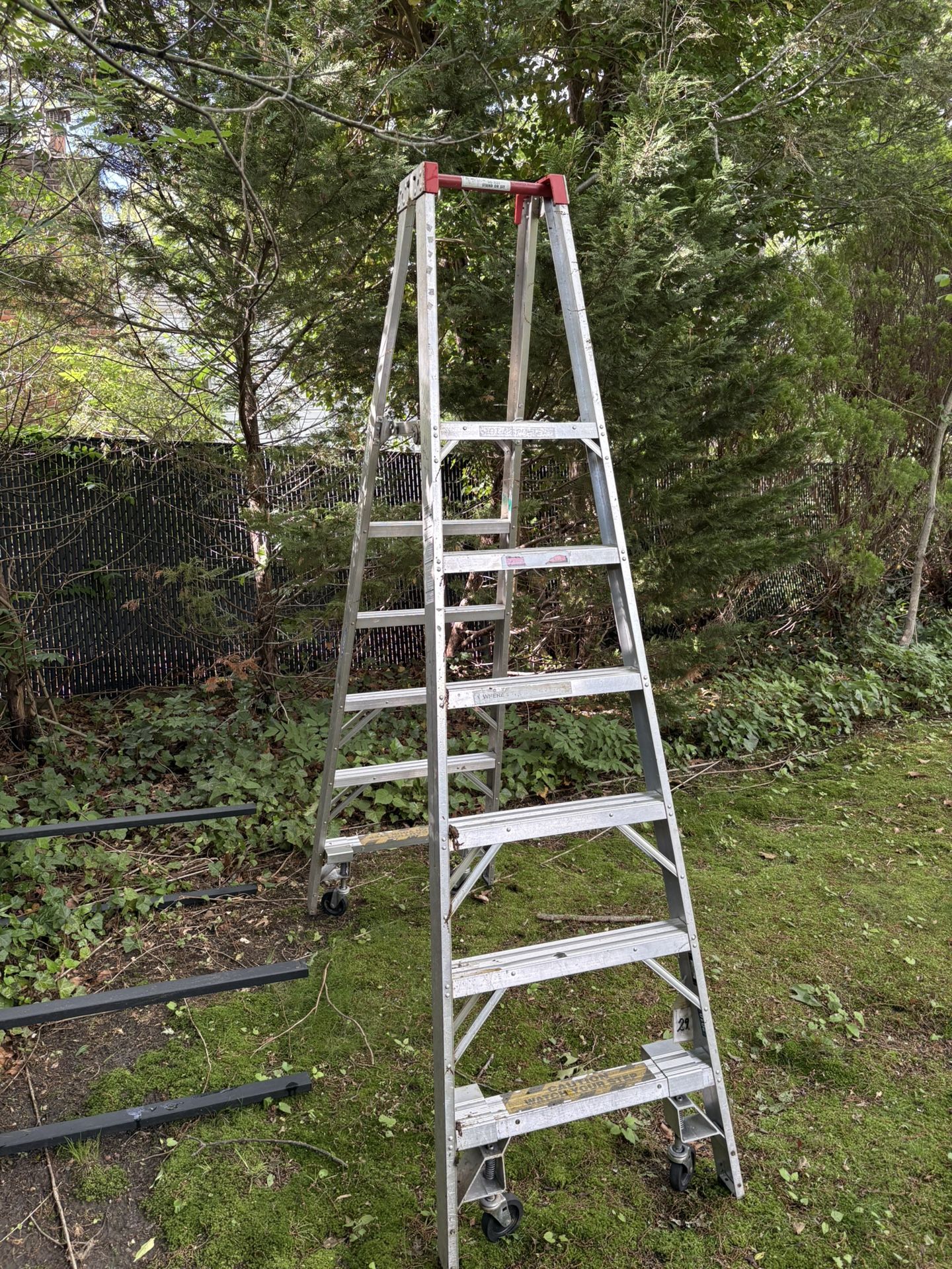 Ladder 10’