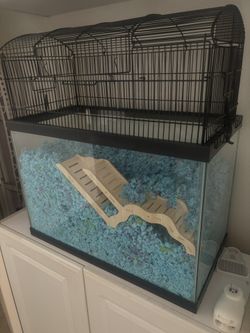 20 Gallon Tank with Topper