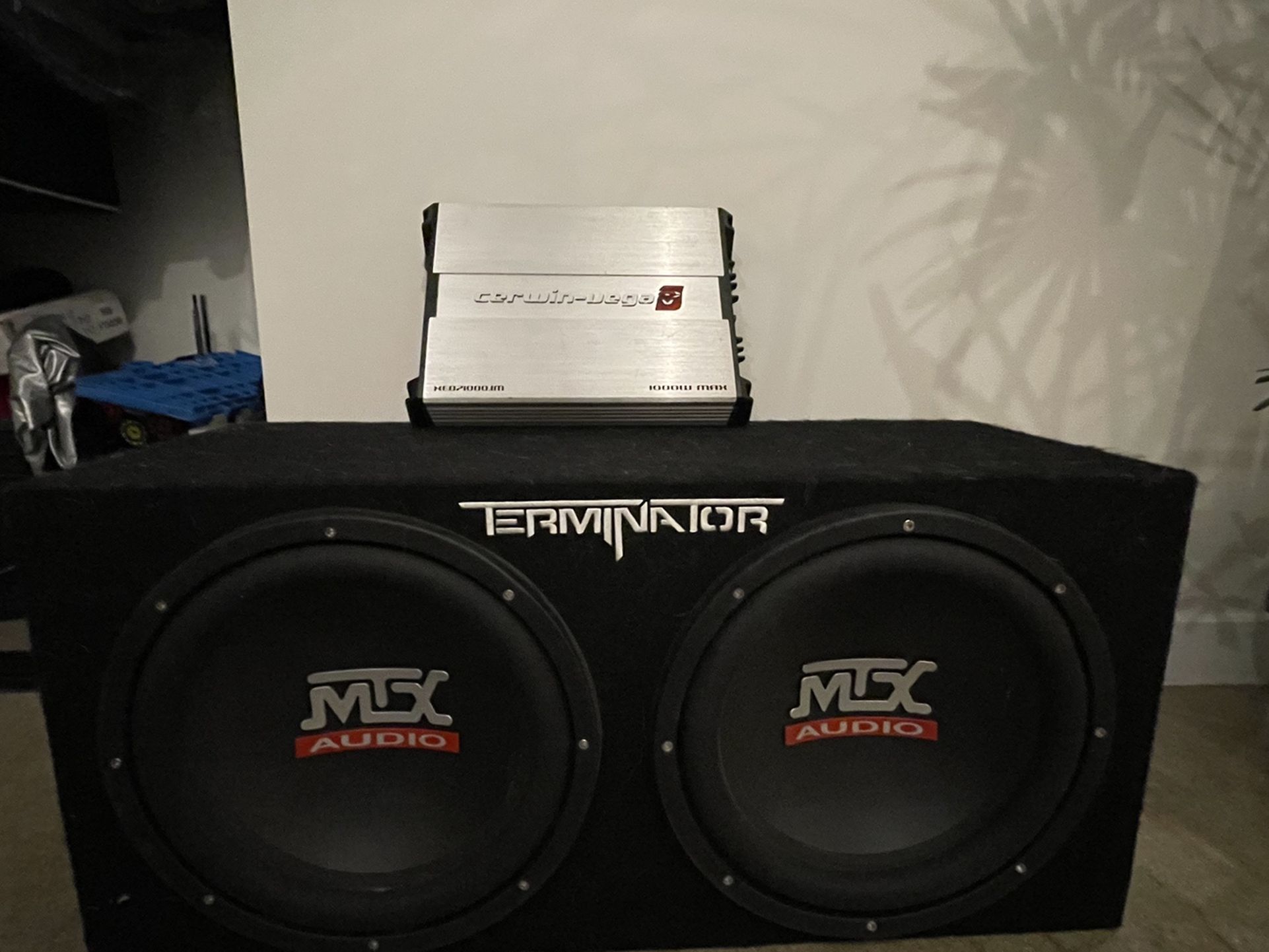 Subwoofer and Amp