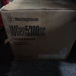 Westinghouse 5300 Generator