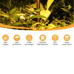 12 Gardencoin Pathway And 12 And Accent Lights