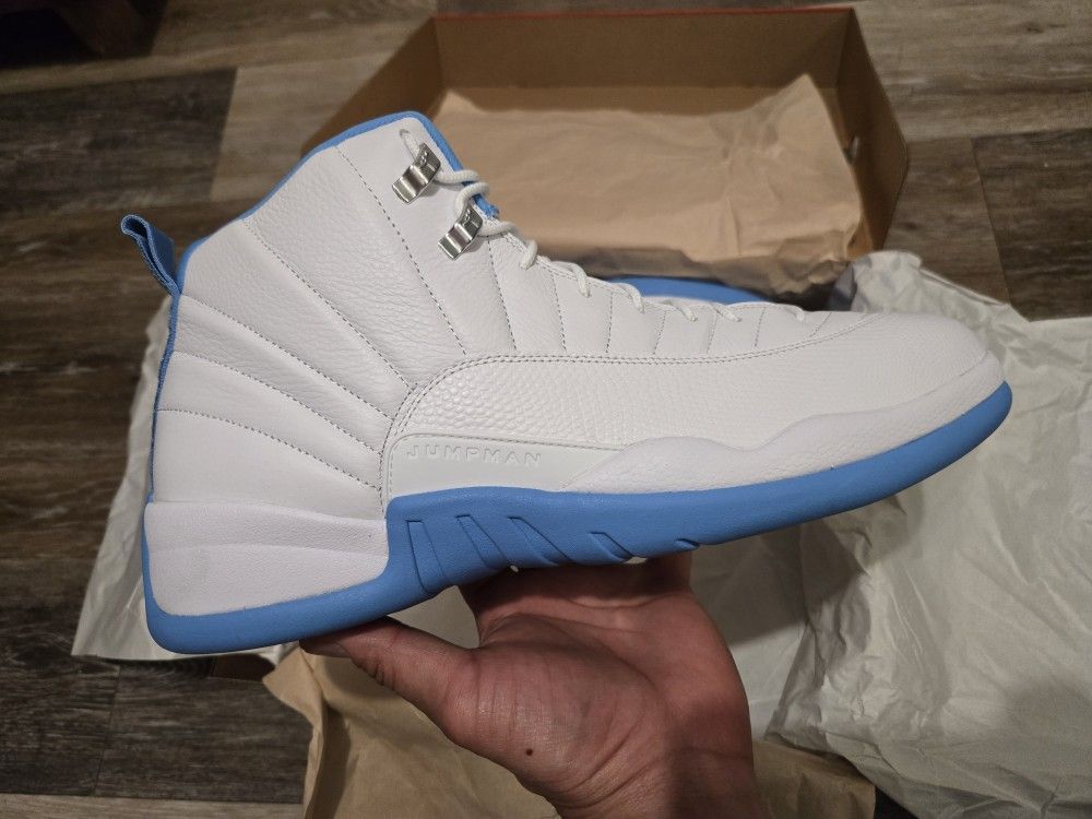 Jordan 12 Sz 15
