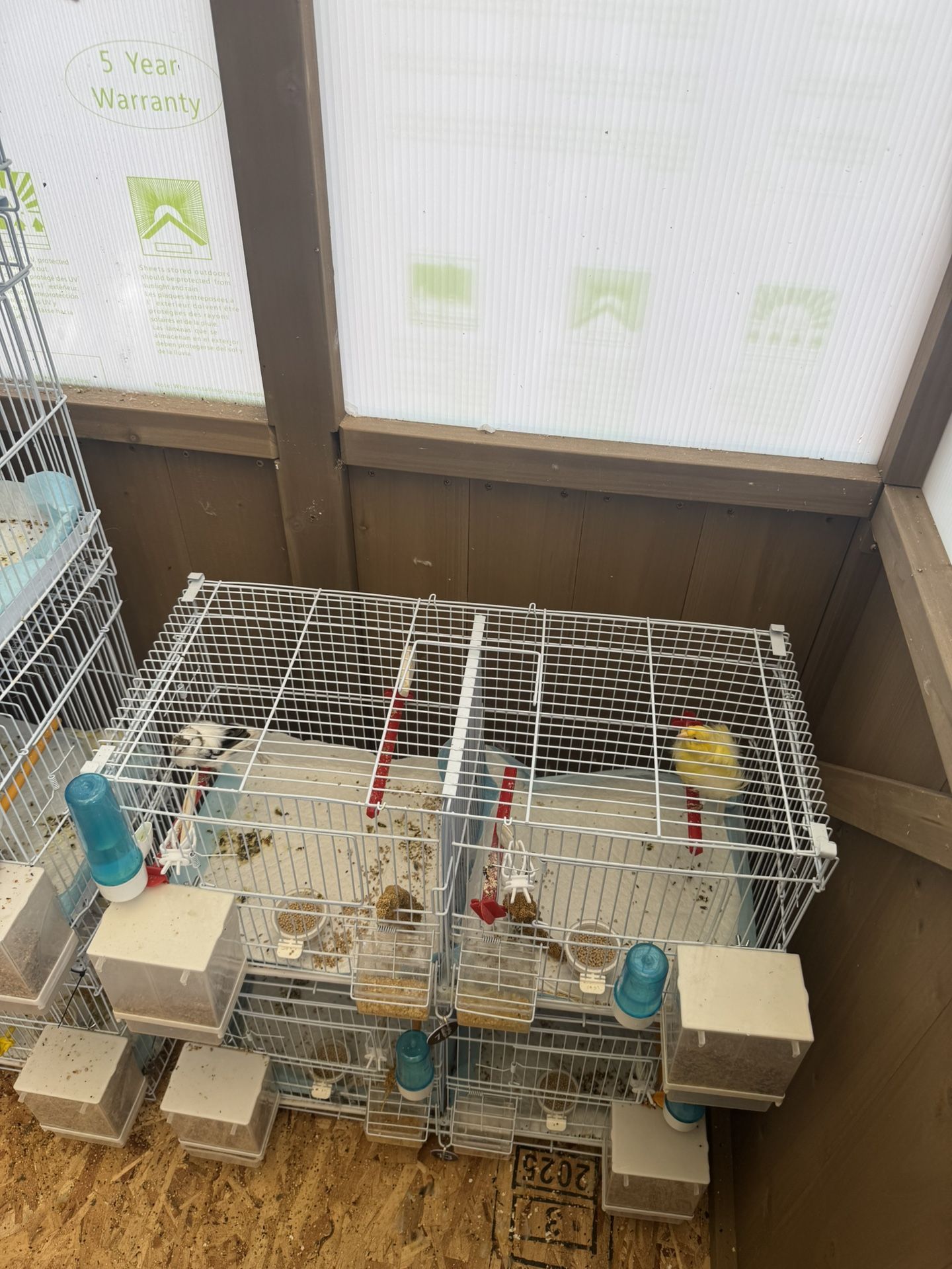 Cage