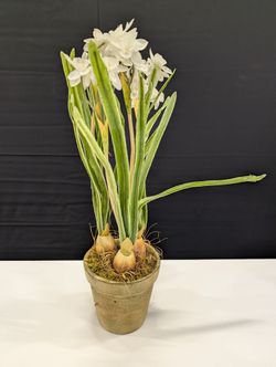 Realistic Potted White Daffodil Faux Floral Arrangement