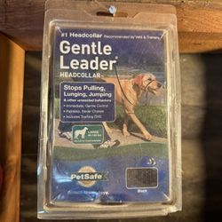 Gentle leader Dog Leash