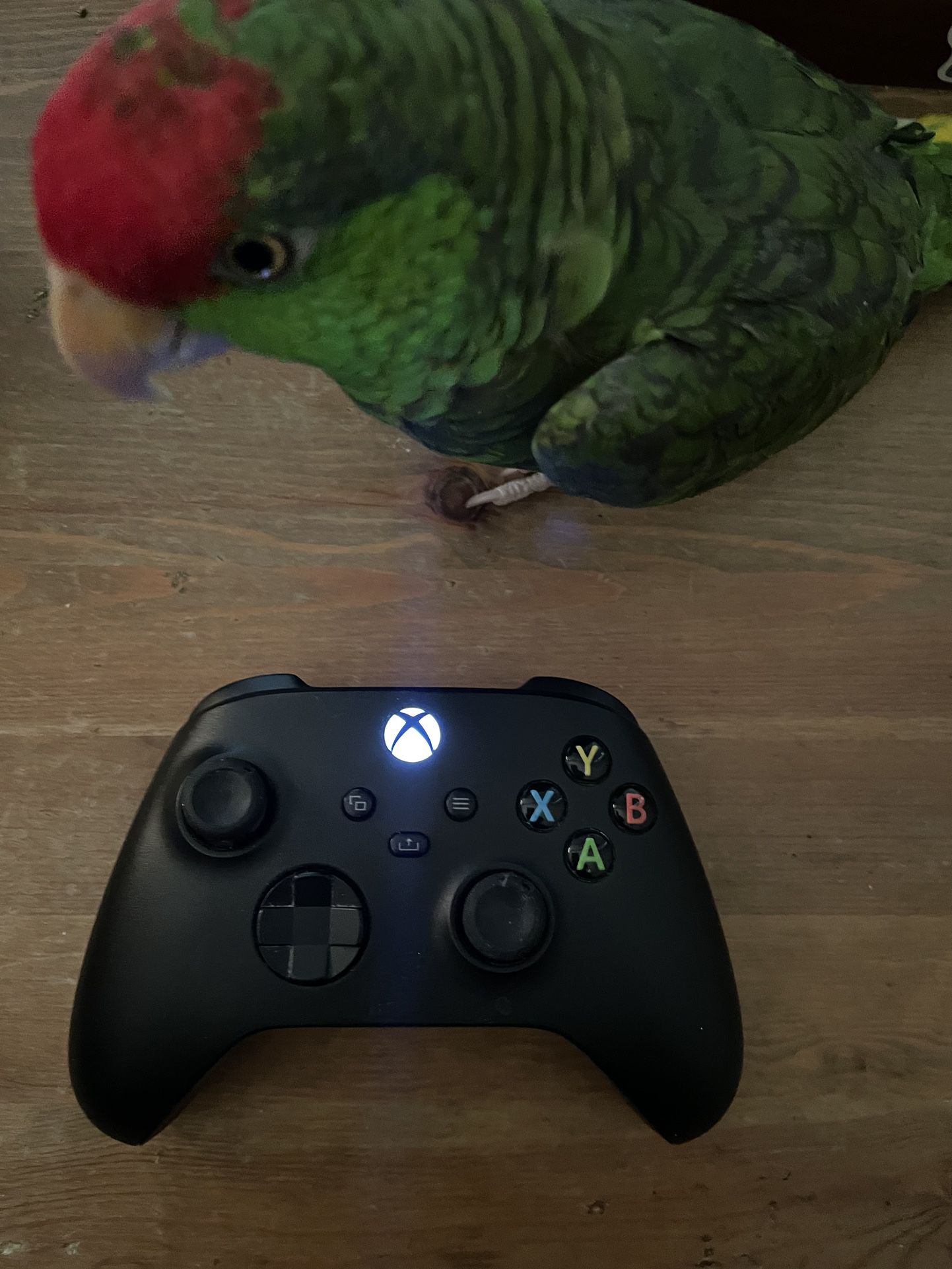 Xbox Series X/S Controller 