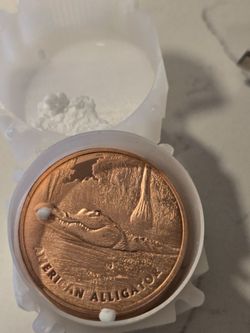 Alligator copper coins