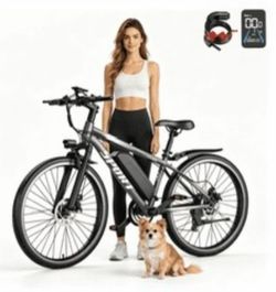 E-Mountain Bike