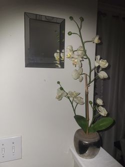 Orchids And Mirror $20