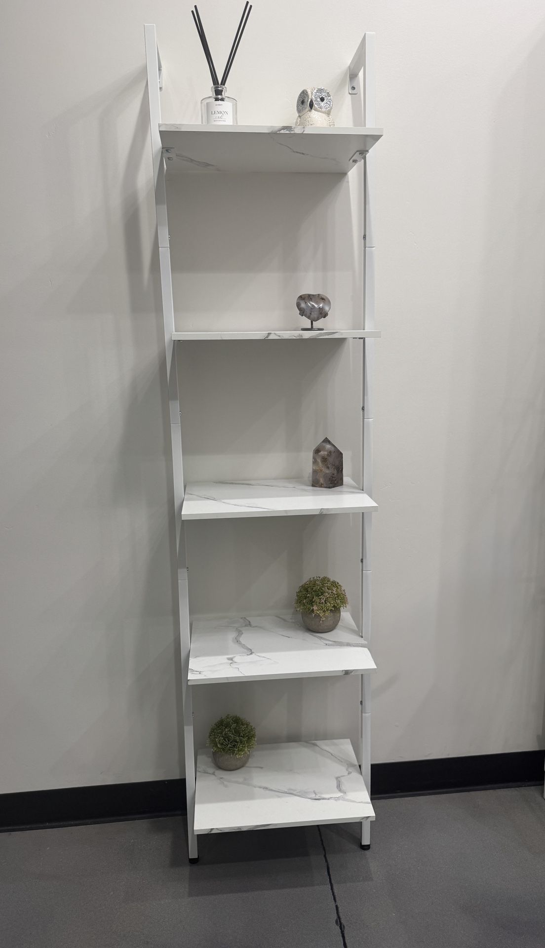Ladder Shelf