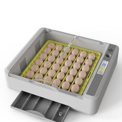 Egg Incubator 