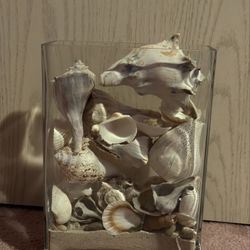  Seashell Vase  Decor 